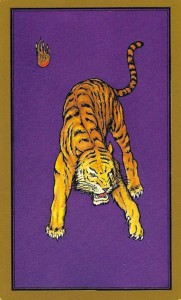 tigre-persan